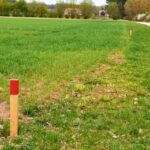 Markierter Grenzverlauf bei der Landvermessung